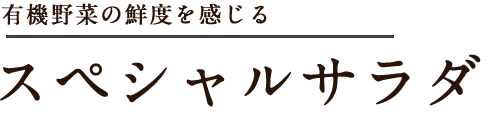 スペシャルサラダ